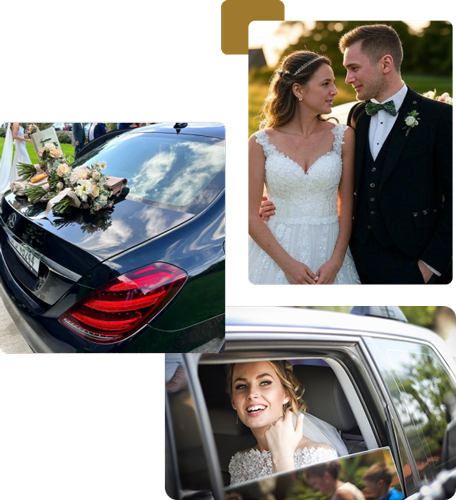 Home 49 opt wedding elite chaff